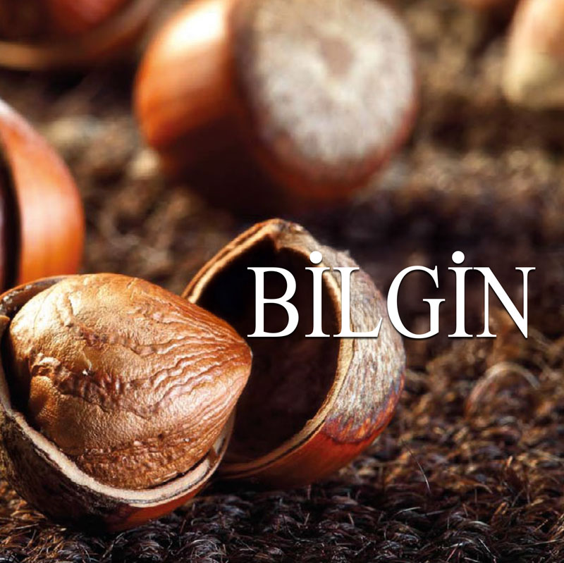 Neobig Katalog Kapak