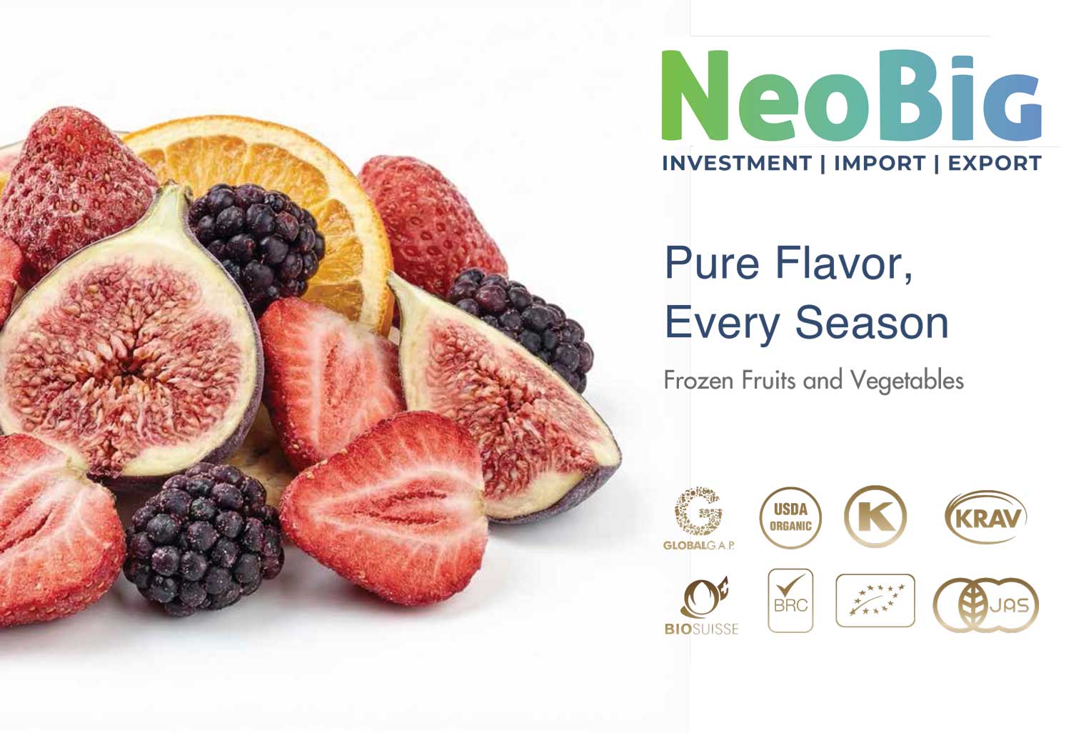 Neobig Katalog Kapak